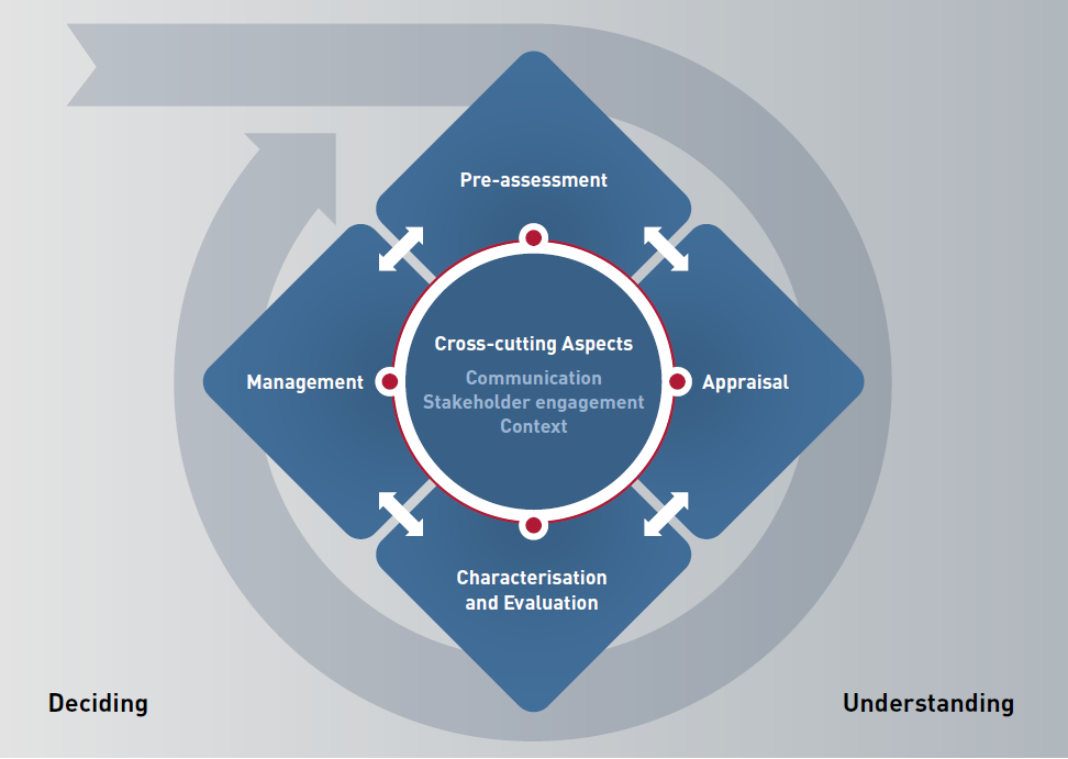 Risk Governance Framework Example